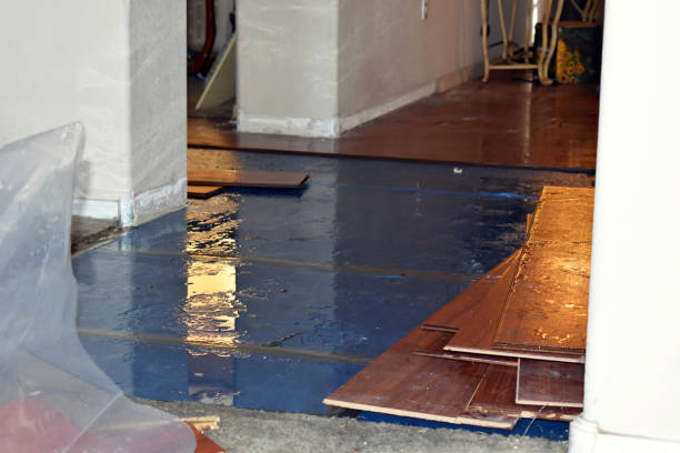 Professional Water Damage Restoration technician working in Happy, TX